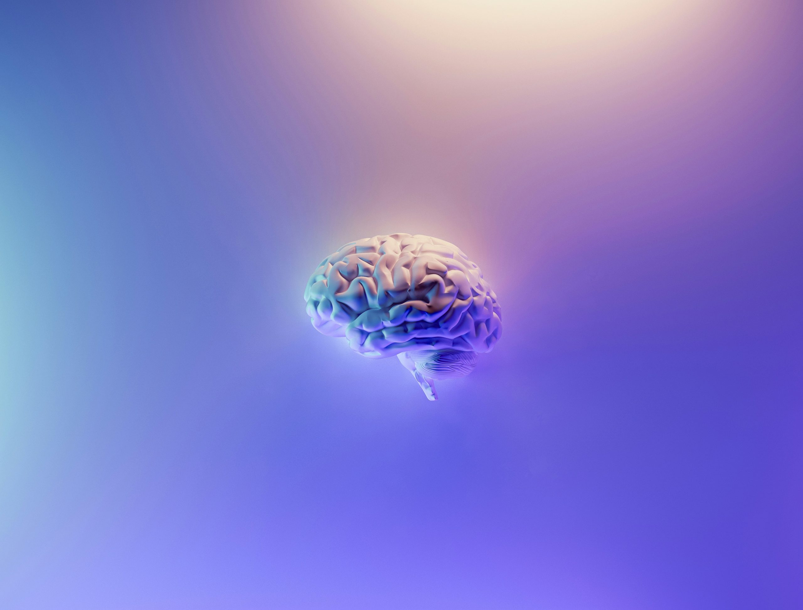 Colorful gradient brain representing neuro and cognitive diversity